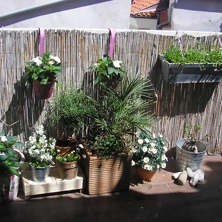 Apartma Urska *