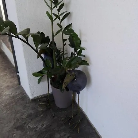 Apartment Apartma Urska Piran